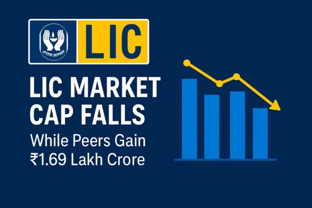 LIC Market Cap Slips